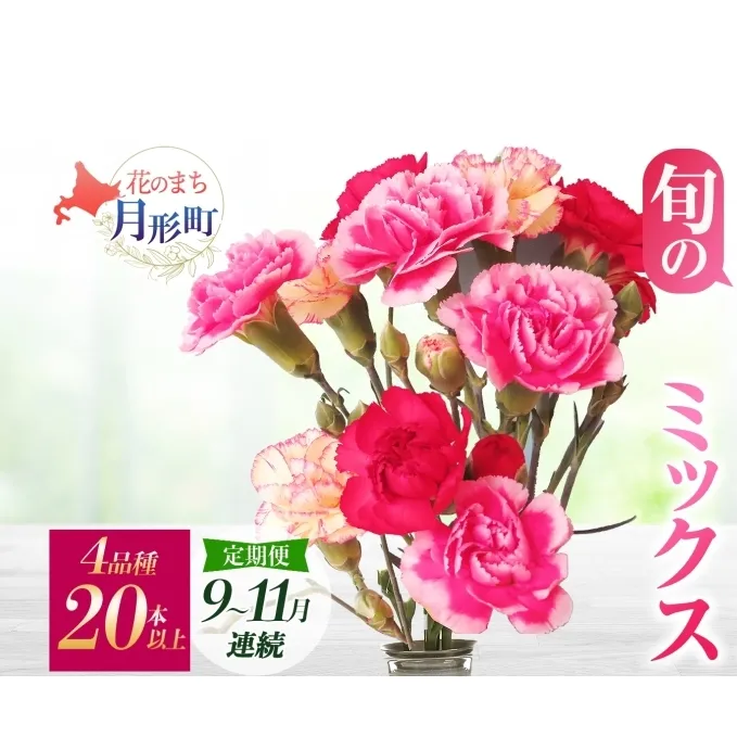 ＜2025年9月～11月まで3ヵ月連続お届け＞北海道 カーネーション ミックス 4品種 20本以上 花 花束 切花 ブーケ 旬 季節 生花 フラワー アレンジメント 