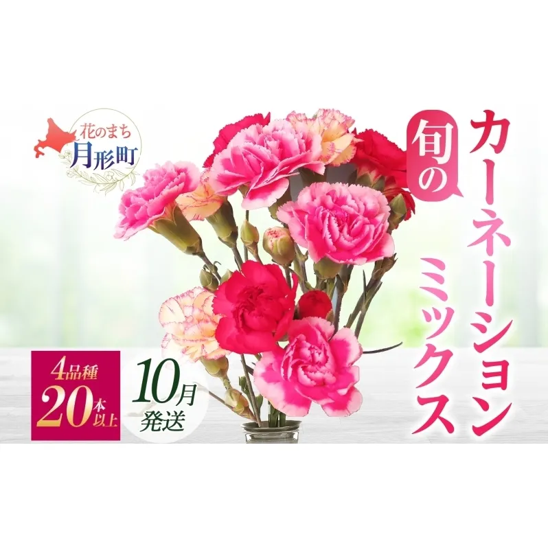 [10月配送] 北海道 カーネーション ミックス 4品種 20本以上 花 花束 切花 ブーケ 旬 季節 詰め合わせ 生花 フラワー アレンジメント 産地直送
