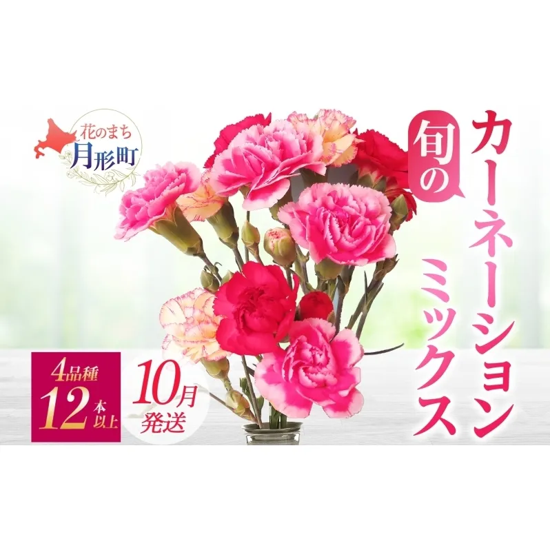 [10月配送] 北海道 カーネーション ミックス 4品種 12本以上 切り花 切花 花束 ブーケ 季節 旬 生花 フラワー アレンジメント 記念日 産地直送 つきがたふるさと花の会
