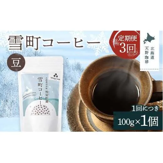 【定期便】雪町コーヒー 豆（100g）1個×3回 自家焙煎 低温貯蔵 エチオピア 北海道 沼田町 n-0114