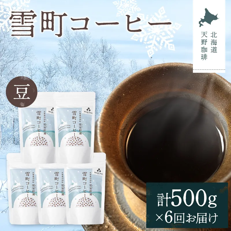 【定期便】雪町コーヒー 豆（100g）5個セット×6回 自家焙煎 低温貯蔵 エチオピア 北海道 沼田町 n-0121