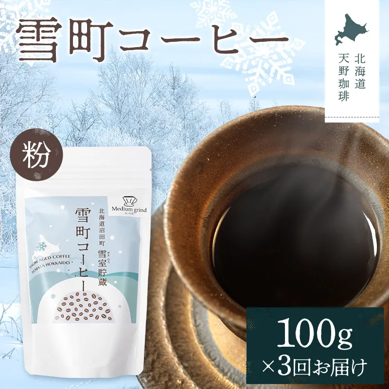 【定期便】雪町コーヒー 粉（100g）1個×3回 自家焙煎 低温貯蔵 エチオピア 北海道 沼田町 n-0123
