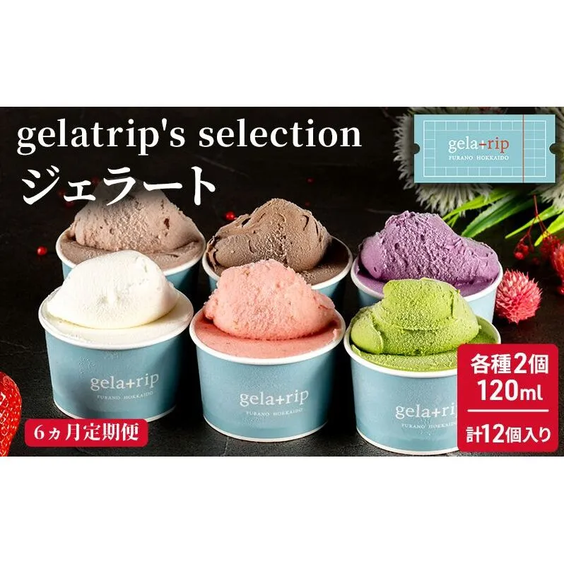 ≪6ヶ月定期便≫ジェラート12個 gelatrip's selection 北海道 上富良野町 アイス