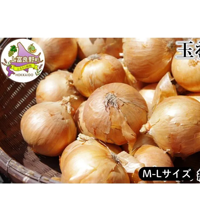 【令和7年産】 先行予約 玉ねぎ 8kg （ M-L サイズ ） 北海道 上富良野産 野菜 たまねぎ オニオン 産地直送 新鮮 旬の野菜