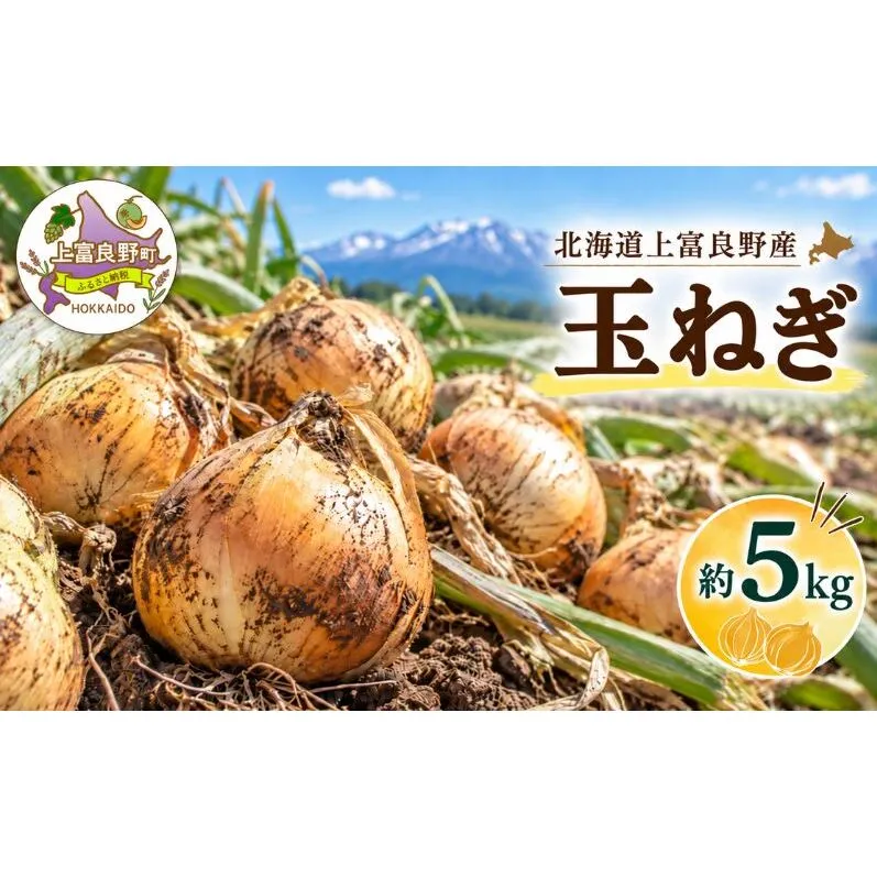【令和8年産】玉ねぎ 5kg ( M-L サイズ ) 北海道 上富良野産 野菜 たまねぎ オニオン 産地直送 新鮮 旬の野菜