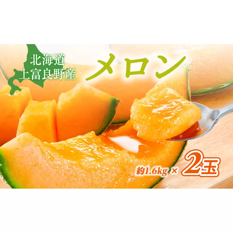 赤肉メロン JAふらの厳選！ 約1.6kg 2玉 メロン めろん 富良野メロン 果物 くだもの フルーツ 富良野 デザート 北海道 北海道上富良野町 