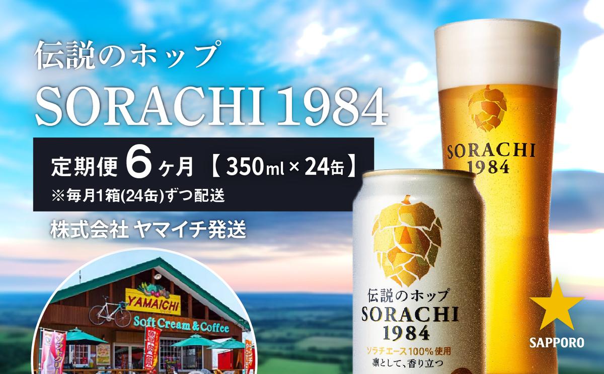 ◇6ヵ月連続お届け定期便◇SORACHI 1984 2箱（350ml×24缶） 株式