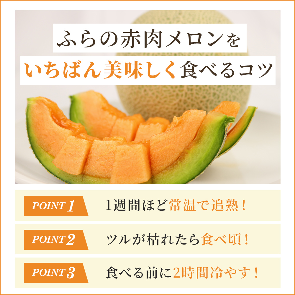 2025年発送 先行予約 】ふらの 赤肉メロン 厳選 秀品 Mサイズ 2025年発送 先行予約 】ふらの 赤肉メロン 厳選 秀品 Mサイズ