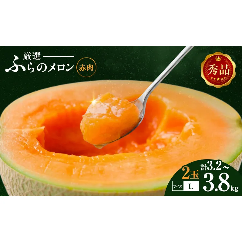 【令和8年産】ふらの 赤肉メロン 秀品 Lサイズ 1.6kg～1.9kg 2玉 セット ファーム富良野 メロン めろん 果物 くだもの フルーツ デザート 北海道 北海道上富良野町