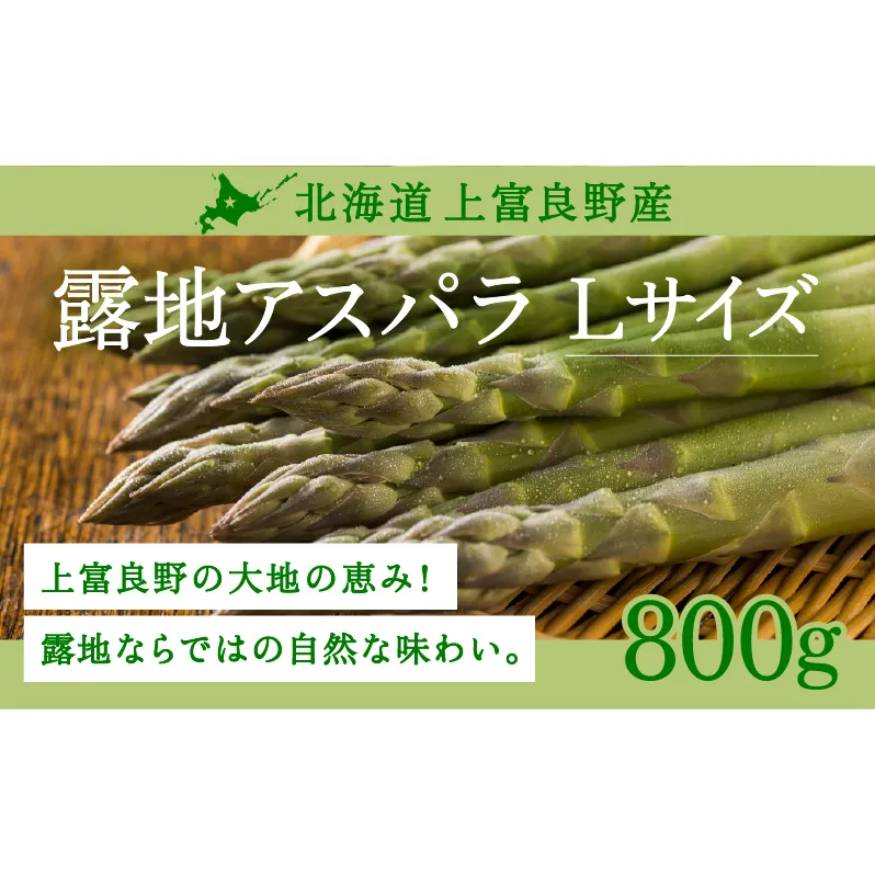 【令和8年産】 〔メディア掲載されました〕 露地 グリーン アスパラガス L 800g 春アスパラ 野菜 旬 新鮮 産地直送 甘い お取り寄せ グルメ 高評価 限定 北海道 上富良野産 