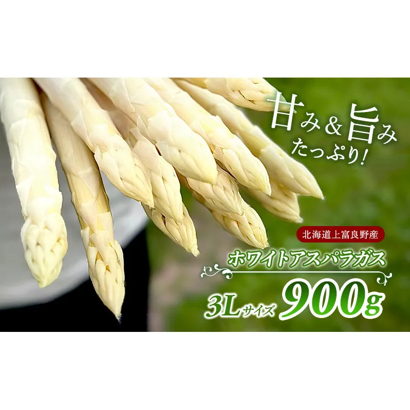 先行予約 【 2025年 発送 ！】北海道 上富良野産 ホワイトアスパラガス 3L サイズ 900g アスパラ ホワイトアスパラ 上富良野町 令和6年発送 先行受付 野菜 やさい 