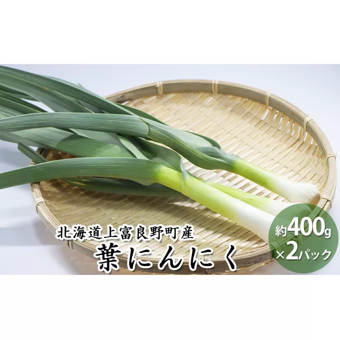 2025年 発送 先行予約 北海道 上富良野町 産 葉 にんにく 約400g×2パック 計800g 産地直送 希少 香味 野菜 薬味 葉にんにく ニンニク 