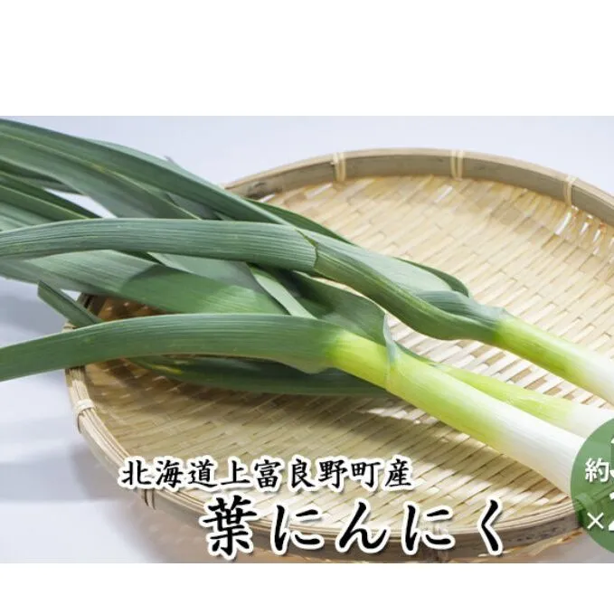 【 2026年 発送 】 先行予約 北海道 上富良野町 産 葉 にんにく 約300g×2パック 計600g 産地直送 希少 香味 野菜 薬味 葉にんにく ニンニク 