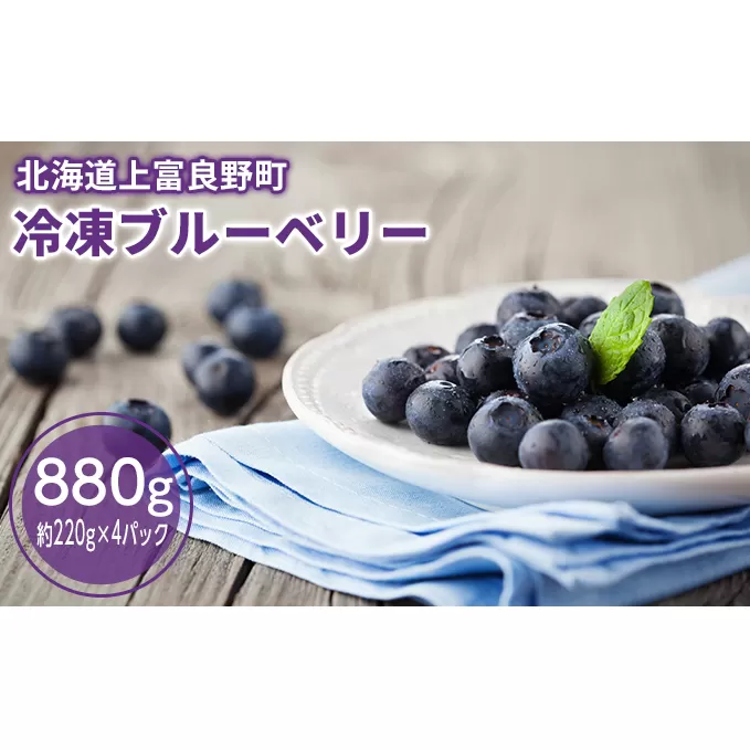 冷凍 大粒 ブルーベリー 880g（220g×4p）北海道 上富良野産 小分け 果物 フルーツ 果実 そのまま ヨーグルト アイス トッピング スムージー 冷凍フルーツ 国産 日本産 冷凍果物 