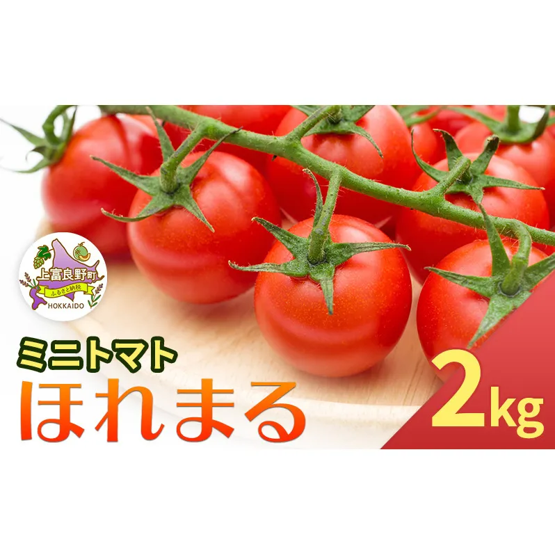 【令和8年産】 もぎたてミニトマト【ほれまる】2kg≪北海道上富良野産≫ 野菜 鮮やかな 赤色 果肉 酸味 甘み バランス 食べやすい 日持ち 冷蔵庫 保存 1週間