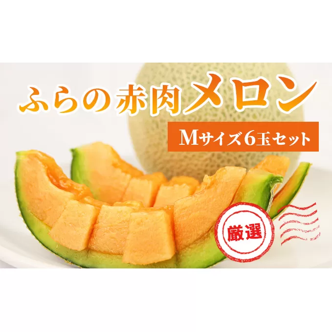 【2025年発送】ふらの 赤肉メロン 厳選 甘味 Mサイズ 1.35kg～1.6kg 6玉 セット ファーム富良野 メロン めろん 富良野メロン 果物 くだもの フルーツ 富良野 デザート 北海道 先行受付 北海道上富良野町 