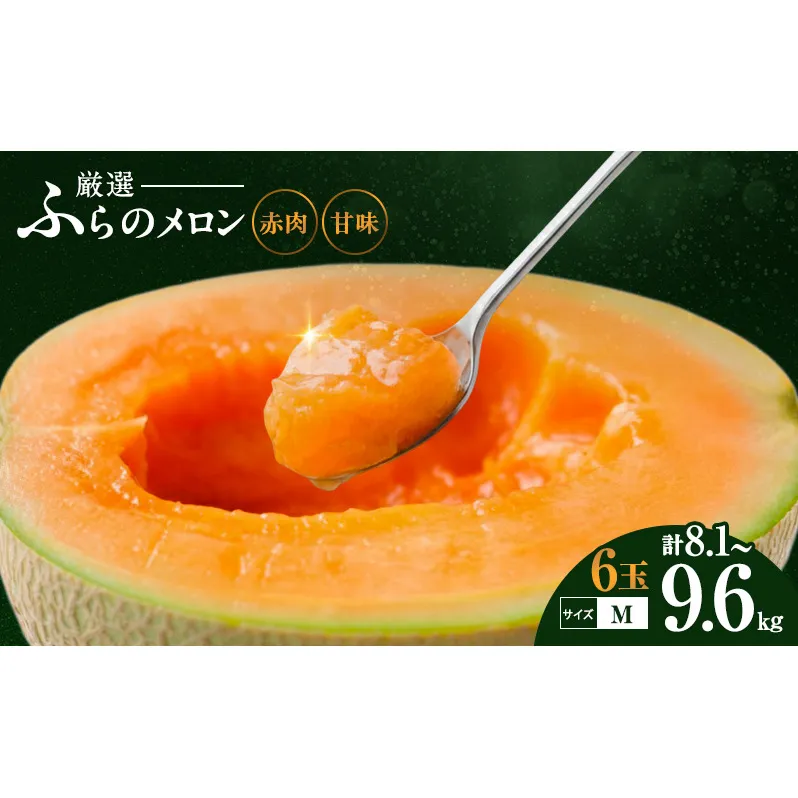 【令和8年産】ふらの 赤肉メロン 厳選 甘味 Mサイズ 1.35kg～1.6kg 6玉 セット ファーム富良野 メロン めろん 富良野メロン 果物 くだもの フルーツ 富良野 デザート 北海道 先行受付 北海道上富良野町