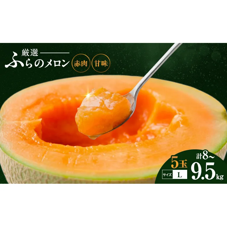 【令和8年産】ふらの 赤肉メロン 厳選 甘味 Lサイズ 1.6kg～1.9kg 5玉 セット ファーム富良野 メロン めろん 富良野メロン 果物 くだもの フルーツ 富良野 デザート 北海道 北海道上富良野町