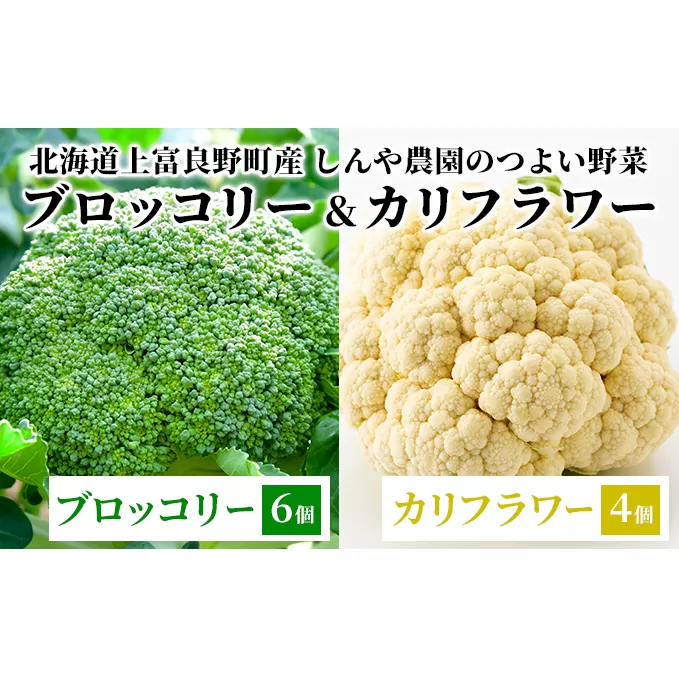 【北海道上富良野町産】しんや農園のつよい野菜「ブロッコリー6個&カリフラワー4個」 北海道産 北海道の野菜 国産野菜 栄養素 ビタミンC 新鮮 食材 食べ物 鮮度保持袋入り 