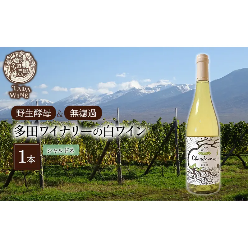 【野生酵母＆無濾過】多田ワイナリーの白ワイン 《シャルドネ》1本 お酒 アルコール ミネラル感 ミディアムボディー 爽や 厚み 晩酌 家飲み 宅飲み