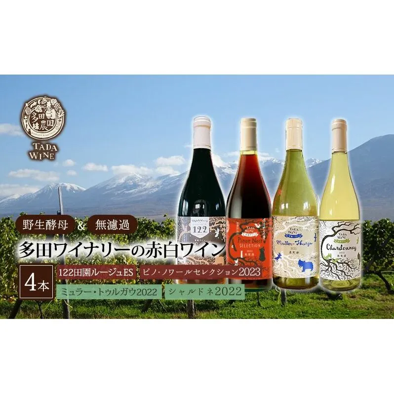 【 野生酵母 ＆ 無濾過 】 北海道 上富良野町 多田ワイナリーの 赤白ワイン 4本 セット 赤ワイン 白ワイン ワイン お酒 ピノノワール ミネラル感 果実味 シャルドネ フレッシュ感 