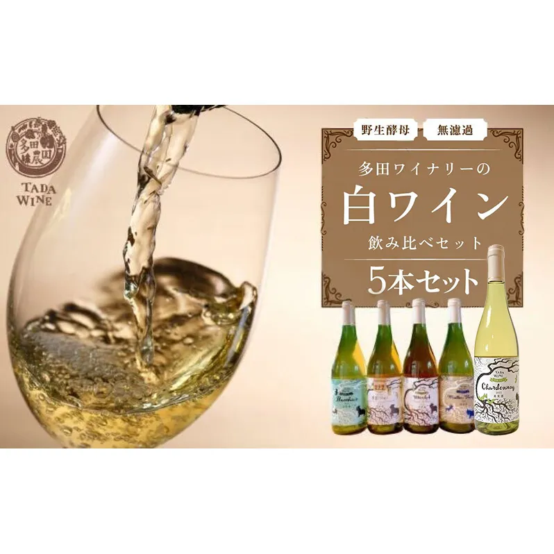 【 野生酵母 ＆ 無濾過 】 北海道 上富良野町 多田ワイナリーの 白ワイン 5本 セット ワイン お酒 シャルドネ ミディアムボディ 果実味 スモーキー 柑橘系 