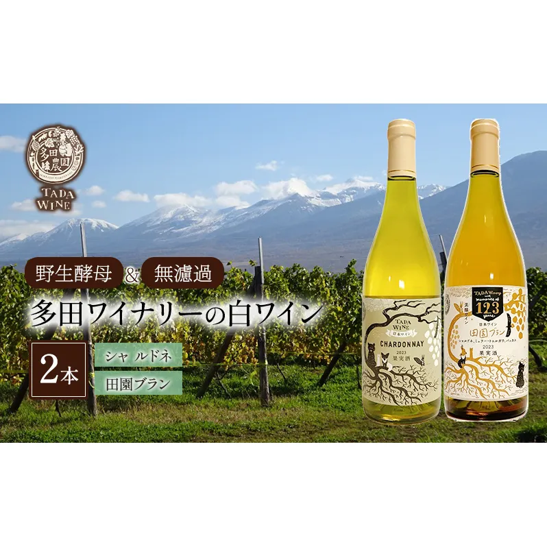 【 野生酵母 ＆ 無濾過 】 混醸ワイン ＆ シャルドネ 100%の ワイン 白2本 セット 多田ワイナリー 白ワイン お酒 ミネラル感 ミディアムボディ 白ワインセット 