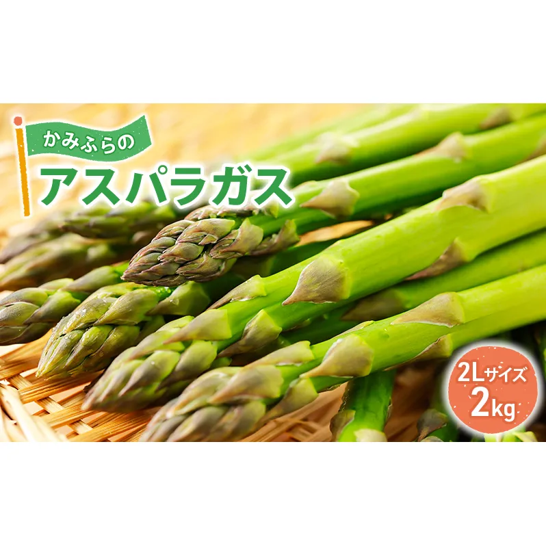 かみふらのアスパラガス 2Lサイズ 2kg 野菜 旬の野菜 北海道産 北海道野菜 国産 国産野菜 グルメ 食材 グリーンアスパラガス 