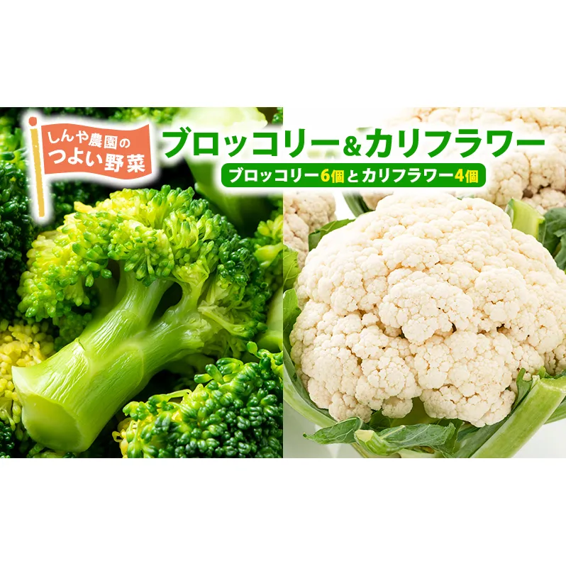 しんや農園の 野菜「ブロッコリー6個 & カリフラワー4個」 旬の野菜 北海道産 北海道野菜 国産 国産野菜 グルメ 食材 新鮮 新鮮野菜 