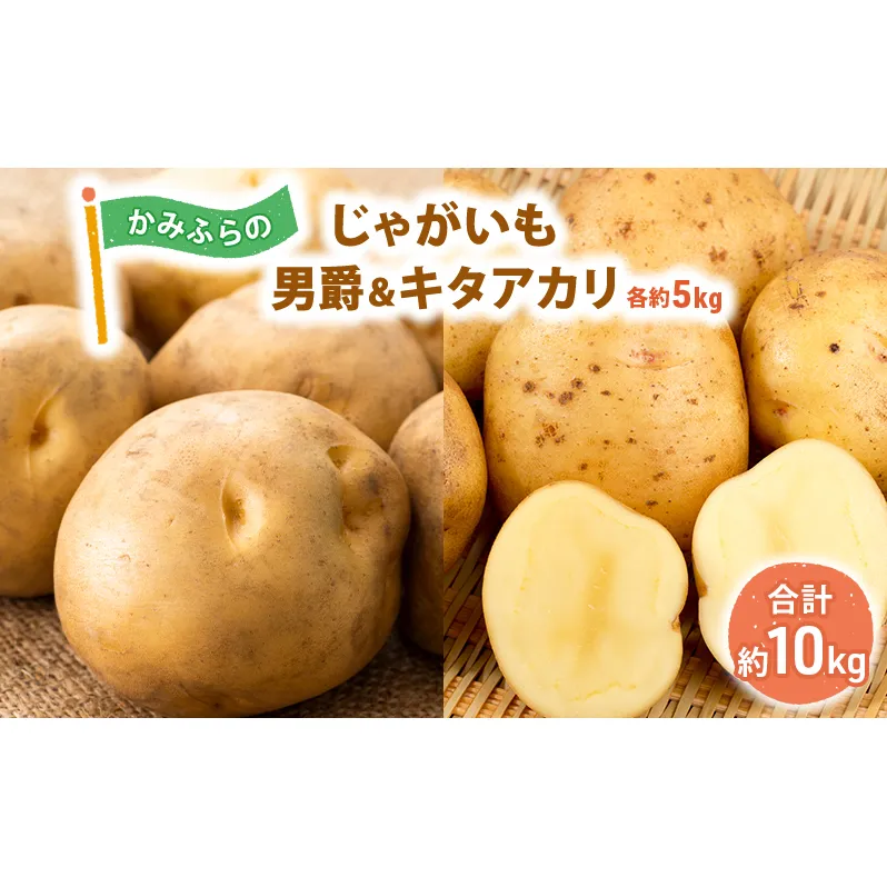 かみふらのじゃがいも「男爵5kg & キタアカリ5kg」 野菜 旬の野菜 北海道産 北海道野菜 国産 国産野菜 グルメ 食材 ポテト 北海道産じゃがいも 