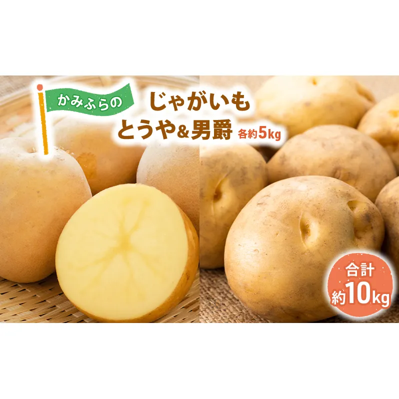 かみふらのじゃがいも「とうや5kg & 男爵5kg」 野菜 旬の野菜 北海道産 北海道野菜 国産 国産野菜 グルメ 食材 ポテト 北海道産じゃがいも 
