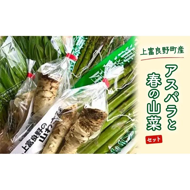 上富良野産 アスパラと春の山菜セット アスパラガス アスパラ 野菜 山菜 北海道 
