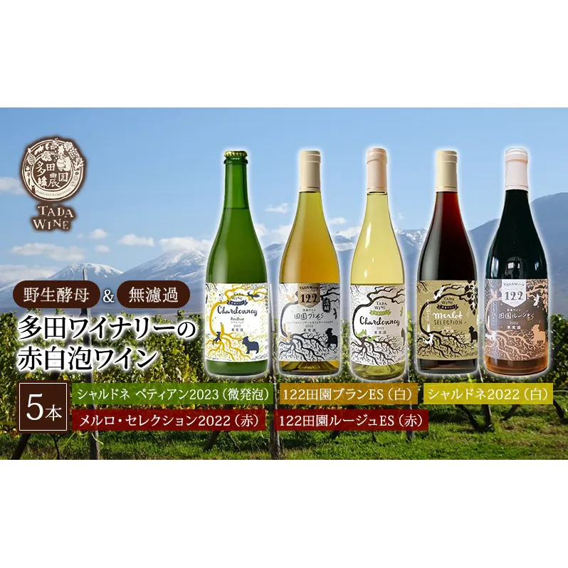 【野生酵母＆無濾過】赤白泡ワイン 5本セット▼多田ワイナリー 赤ワイン お酒 白ワイン ワイン 