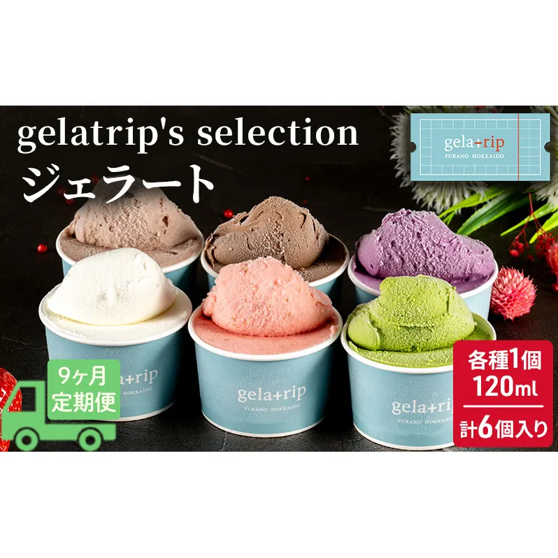 ≪9ヵ月定期便≫gelatrip's selection ジェラート6個BOX 