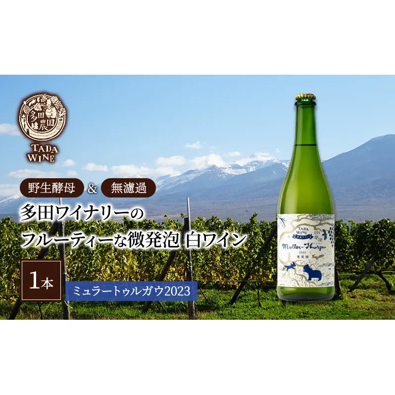 【酸化防止剤無添加】フルーティーな微発泡 白ワイン1本◎野生酵母＆無濾過◎TADA WINERY