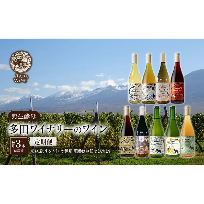【3ヵ月定期便】野生酵母で醸したワイン 毎月3本お届け (3ヵ月間) 多田ワイナリー 北海道 上富良野町 ワイン 赤ワイン 白ワイン 微発泡ワイン オレンジワイン