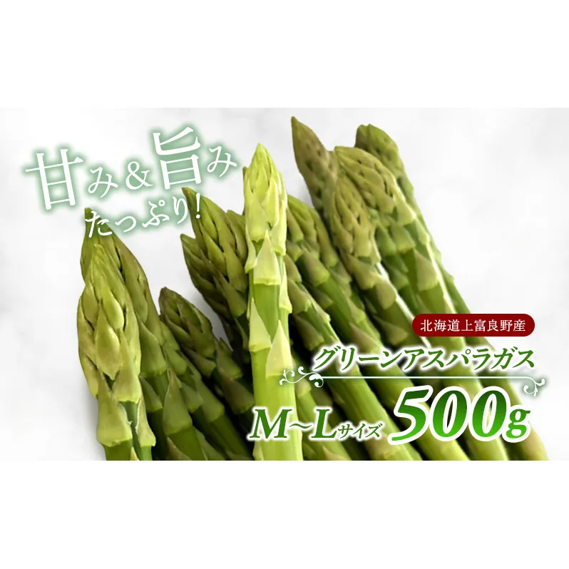 先行予約 【2025年 発送】 北海道 上富良野産 グリーン アスパラガス M-L サイズ 500g アスパラ 上富良野町 令和7年 発送 野菜 やさい【オンライン決済限定】