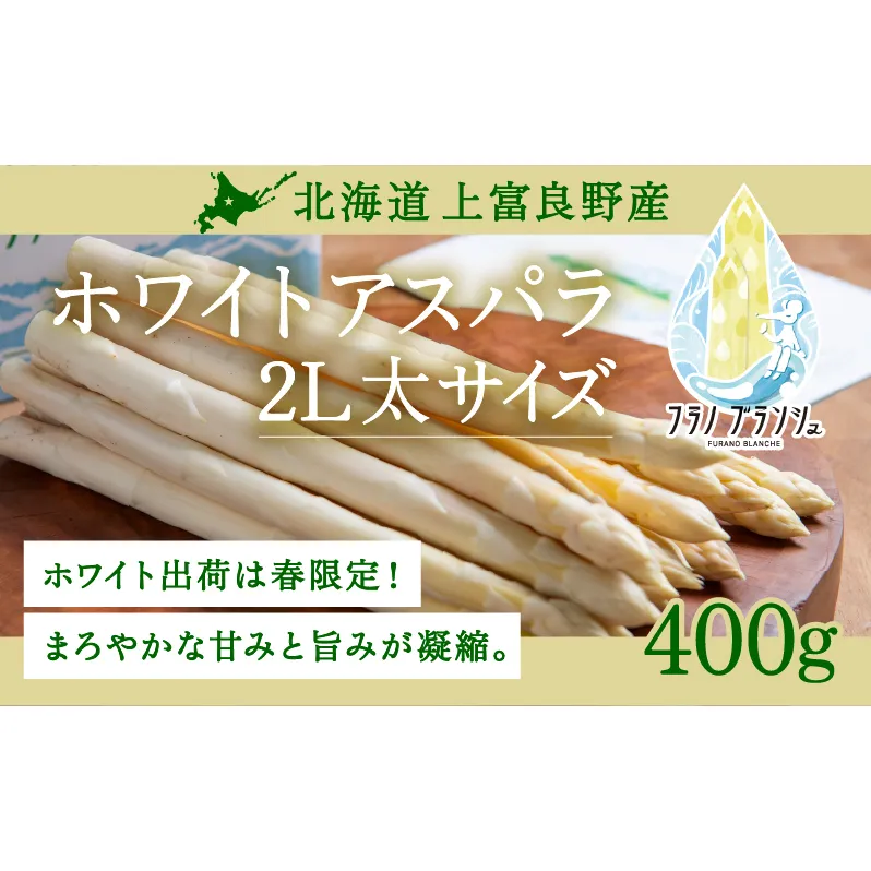 先行予約 【 2026年 発送 ！】 北海道 上富良野産 ホワイトアスパラガス 2L サイズ 400g アスパラ ホワイト アスパラガス 上富良野町 令和7年発送 野菜 やさい【オンライン決済限定】