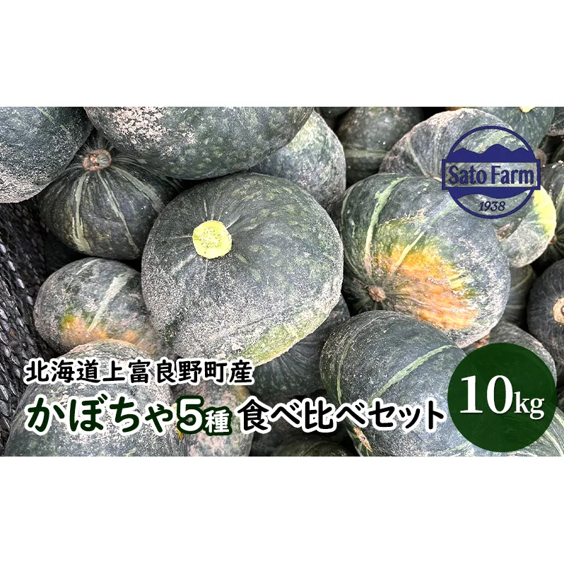 北海道 上富良野 産 かぼちゃ 5種 食べ比べ セット10kg 南瓜 パンプキン 野菜 農家直送 佐藤ファーム