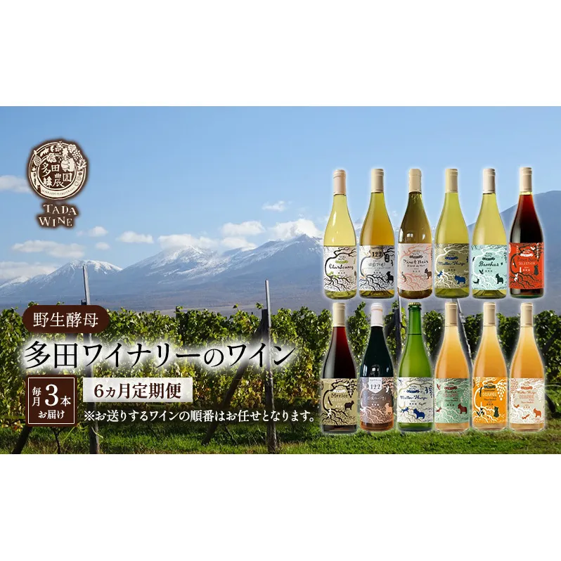 6ヵ月定期便◆野生酵母ワイン 毎月3本お届け(6ヵ月間) 多田ワイナリー 北海道 上富良野町 ワイン 赤ワイン 白ワイン 微発泡ワイン オレンジワイン