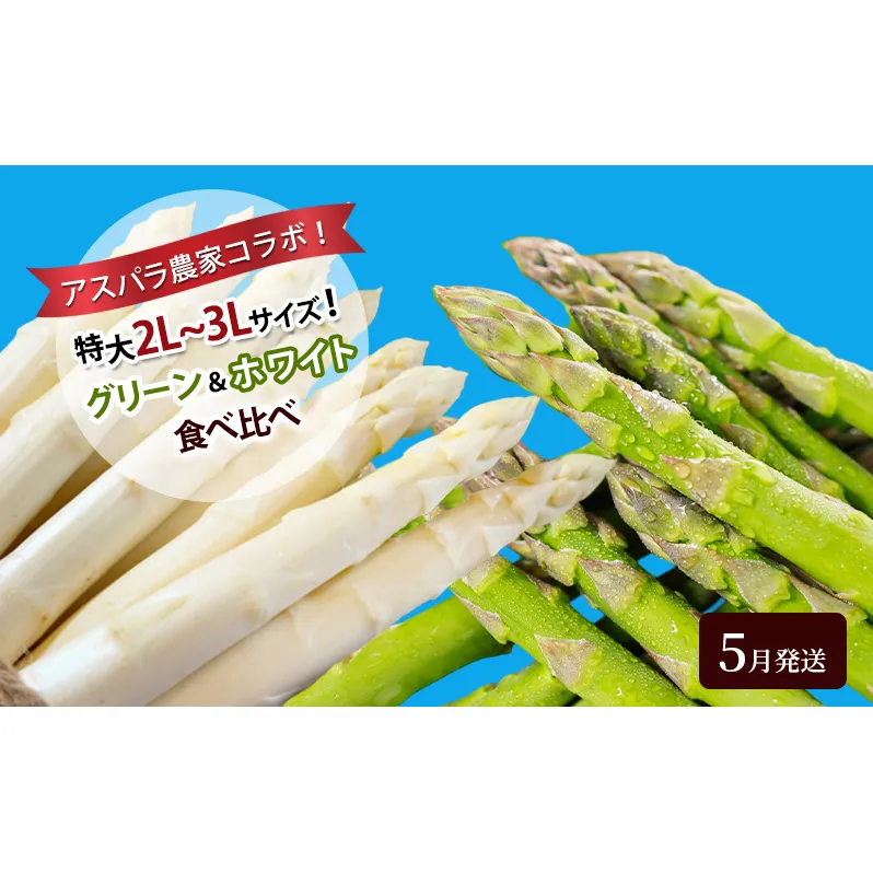 アスパラ農家コラボ！特大2L～3Lサイズ！グリーン＆ホワイト食べ比べ【5月発送】アスパラガス 野菜