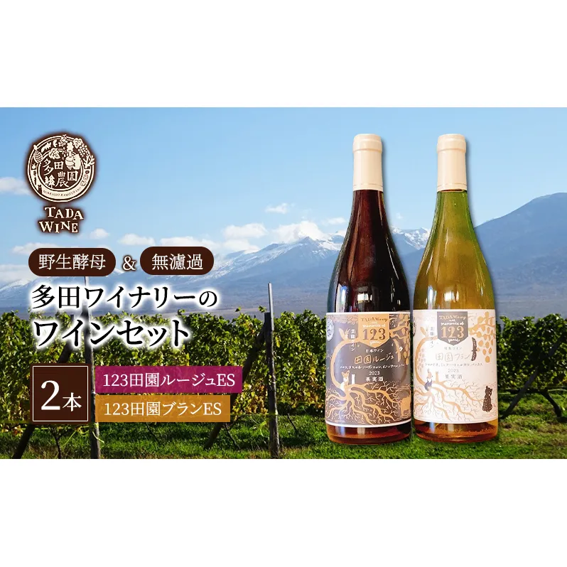 【野生酵母】混醸ワイン 赤白 計2本 多田ワイナリー 北海道 上富良野町 ワイン 赤ワイン 白ワイン セット お酒 アルコール
