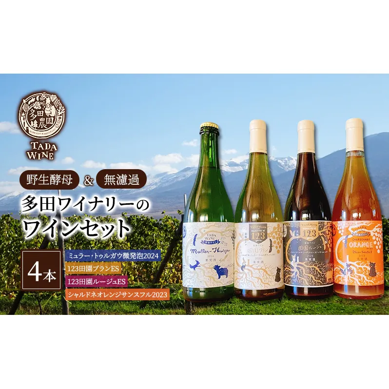 【野生酵母】赤白泡オレンジ ワイン4本 多田ワイナリー 北海道 上富良野町 ワイン 赤ワイン 白ワイン 微発砲ワイン セット お酒 アルコール