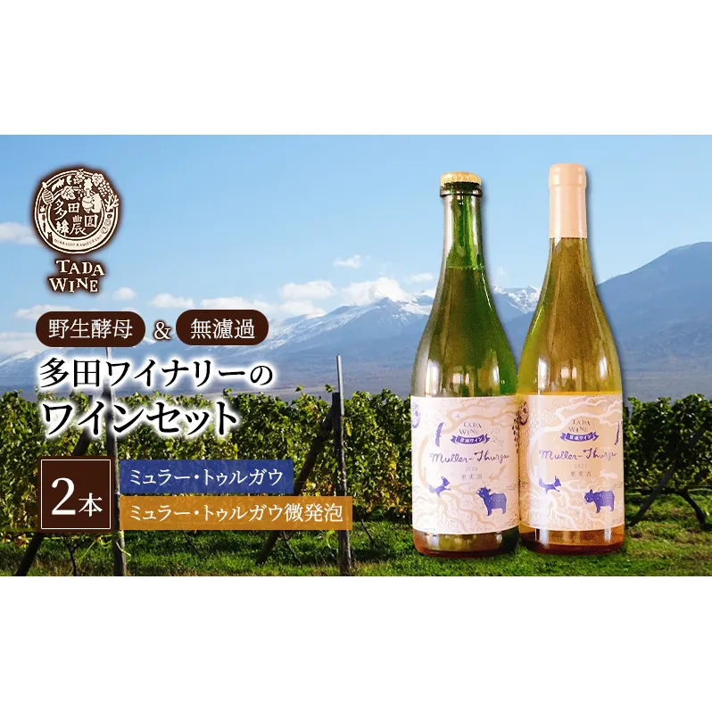 【野生酵母】爽やかなワイン 白&微発泡 ミュラー・トゥルガウ 多田ワイナリー 北海道 上富良野町 ワイン 白ワイン 微発砲ワイン セット お酒 アルコール