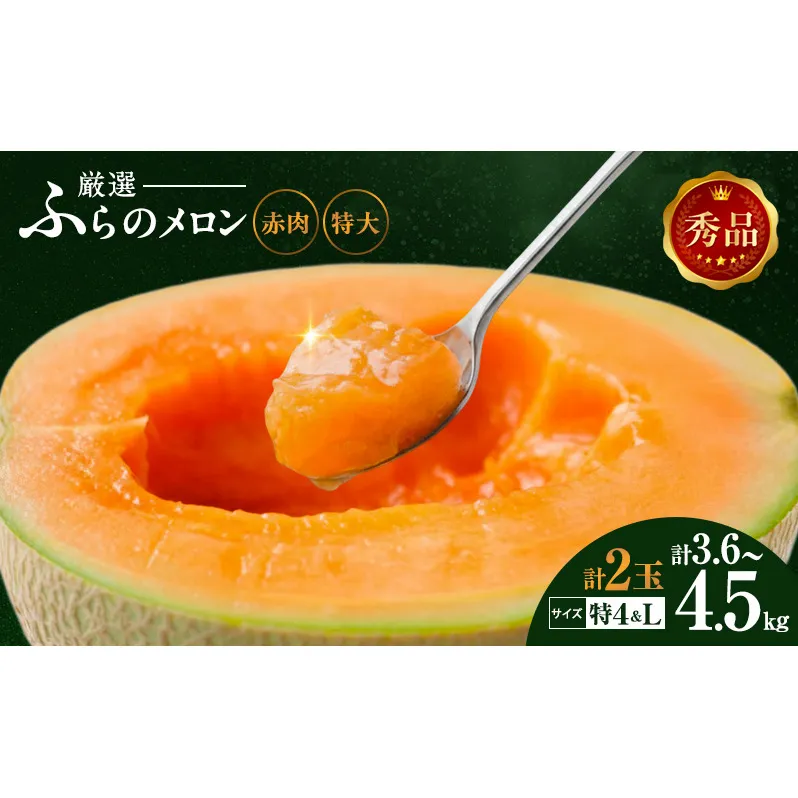 【令和8年産】ふらの 赤肉メロン 特4 2kg～2.6kg Lサイズ 1.6kg～1.9kg 各1玉(計2玉) 厳選 秀品 特4サイズ セット めろん フルーツ デザート くだもの 旬の果物 旬のフルーツ ファーム富良野 北海道