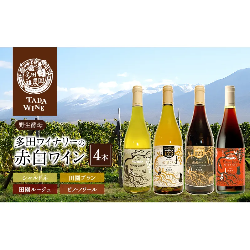 【野生酵母】かみふらの 多田ワイナリー 赤白ワイン 計4本　ワイン 赤ワイン 白ワイン 飲み比べ セット ぶどう 葡萄 ワイナリー 酒 北海道 上富良野町