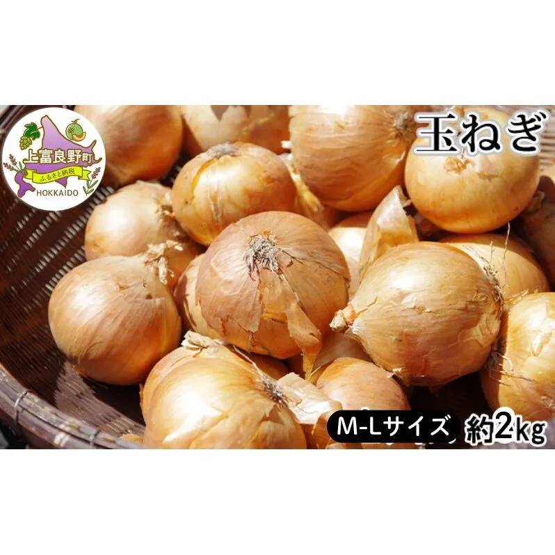 北海道 上富良野 玉ねぎ 約2kg（ M-L サイズ ） 野菜 たまねぎ オニオン 産地直送 新鮮 ふらの