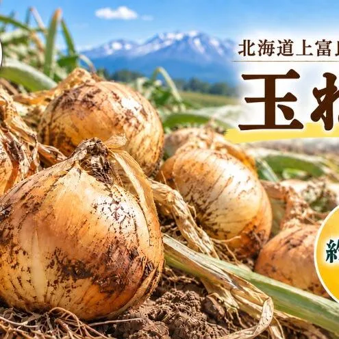 【令和8年産】北海道 上富良野 玉ねぎ 約2kg（ M-L サイズ ） 野菜 たまねぎ オニオン 産地直送 新鮮 ふらの