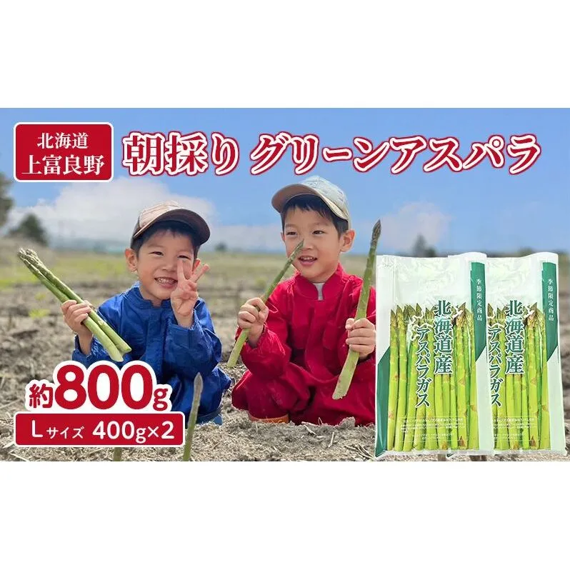 数量限定！【2026年分先行予約】 アスパラガス 専門農家 の 特選 グリーン アスパラ 800g  L サイズ 原農園 アスパラ あすぱら 野菜 北海道 上富良野町