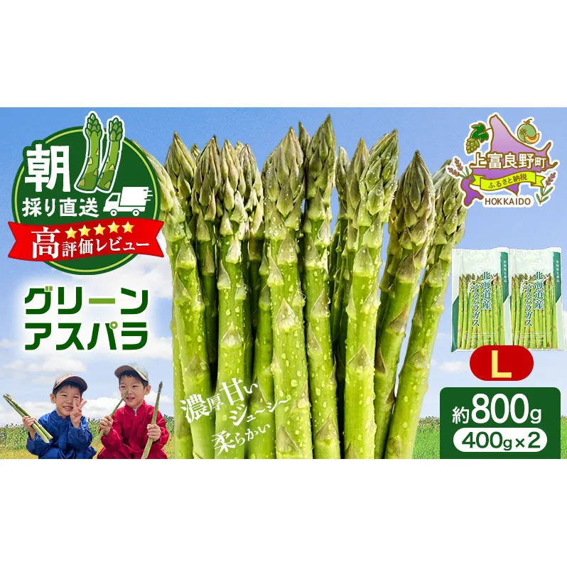 数量限定！【令和8年産】 アスパラガス 専門農家 の 特選 グリーンアスパラ 800g  Lサイズ 原農園 アスパラ 朝採りアスパラ 野菜 北海道 上富良野町
